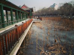 -莲花池公园