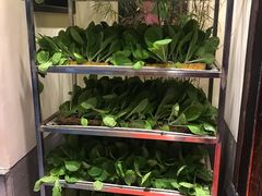 -福照楼汽锅鸡·云南菜(护国路店)