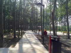 景点-仁和公园(顺义区)