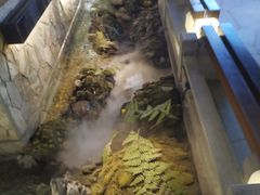 -首秀·四川料理(星耀101店)