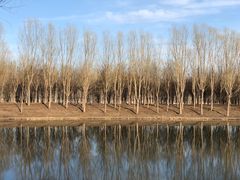 -东郊湿地公园