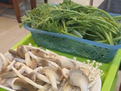 -15年老字号鑫鑫猪肚鸡·椰子鸡海南火锅(兴隆华侨农场店)