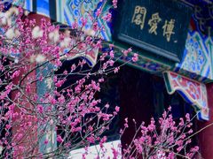 -梅花山(明孝陵内)