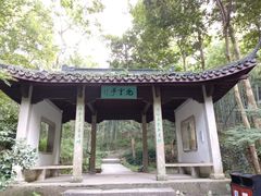-西湖风景区十里琅珰-五云山