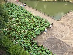 -苏州香山国际大酒店