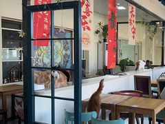 -猫小院猫主题餐厅(南锣旗舰店)