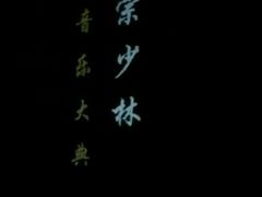 -禅宗少林·音乐大典