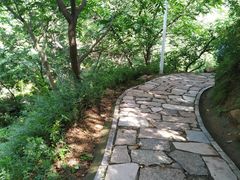 -大岭沟猕猴桃谷风景区