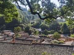 -杨家堂村