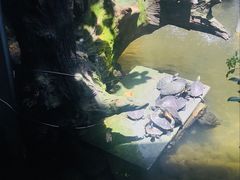 -优之名鹅城