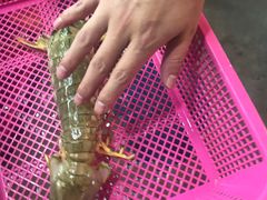 -班赞海鲜市场