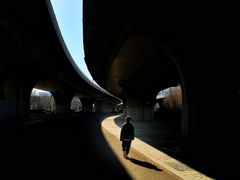 -CGWANG王氏教育(上海校区)