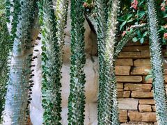 -北京植物园-展览温室