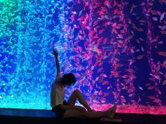 -成都浩海立方海洋公园