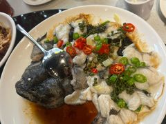 鲜花椒蒸龙趸鱼-任兴记(定西路店)
