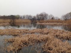 iphone_upload_pic-西湖风景区-江洋畈生态公园