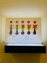 -史云逊养发护发