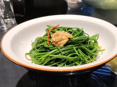 凉拌鲜沙葱-蒙料·手把肉(望京店)