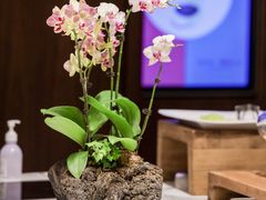 -上海外滩茂悦大酒店