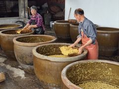 -苏州市吴中区光福窑上花果蜜饯厂