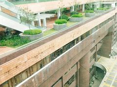 -香港大学
