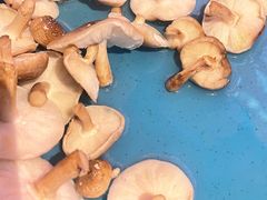 -蛙二爷美蛙火锅基地(温州总店)
