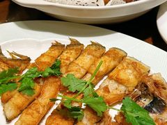 -山水茶艺馆·点心粤菜·30年老字号