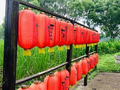 -洪湖生态旅游区