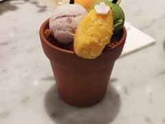 -哈根达斯(大悦城店)