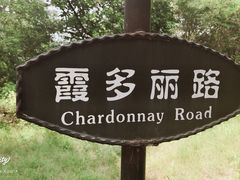 -北京张裕爱斐堡酒庄