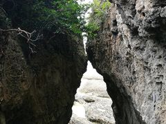 -鹅銮鼻公园