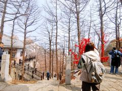 -崂山巨峰游览区