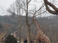 -怪坡茶馆