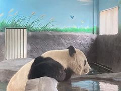 -安吉竹博园