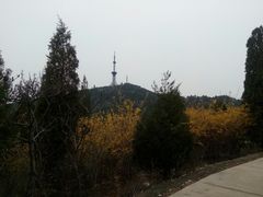 -府君山公园