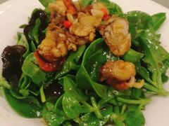 田七拌扇贝-桃源新村双台子店