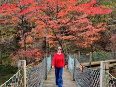 -丹东天桥沟景区