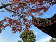 -阳澄湖半岛旅游度假区