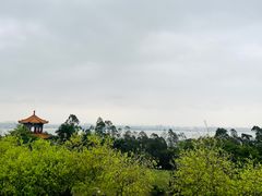 -广州莲花山旅游区