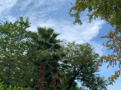 -国际非物质文化遗产博览园