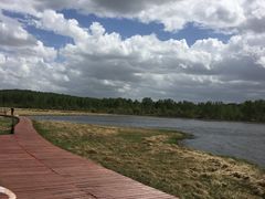 -塞罕坝国家级自然保护区