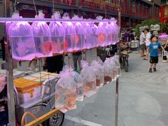 -华声天桥民俗文化园