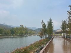 -千年银杏谷文化旅游区