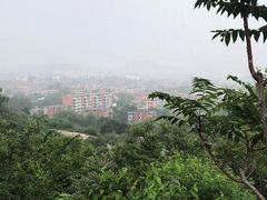 -白水寺森林公园
