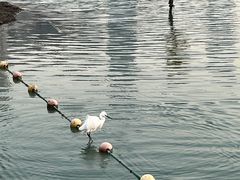 -天鹅湖体育公园