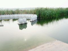 -永定河休闲森林公园