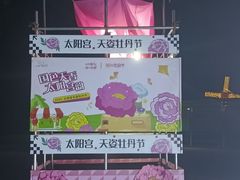 -太阳宫公园