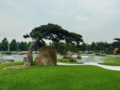 -罗红摄影艺术馆