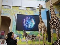 -陕西自然博物馆