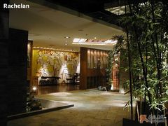 青藤茶馆-青藤茶馆(南山路店)